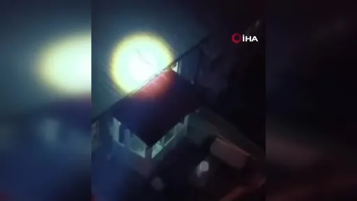 Bursa’da yolunu şaşıran tilki evin çatısına çıktı