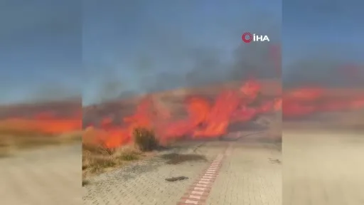 Çanakkale’de otluk alanda yangın