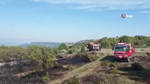 Vezirhan’da bahçe temizliği yangınla bitti: 2 hektar alan zarar gördü