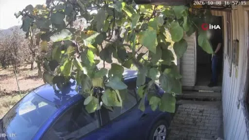 68 yaşındaki adamı muştayla darp etti