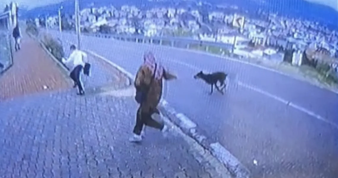 Bursa’da köpek dehşeti kamerada: Çocuk kaçarken bacağını kırdı