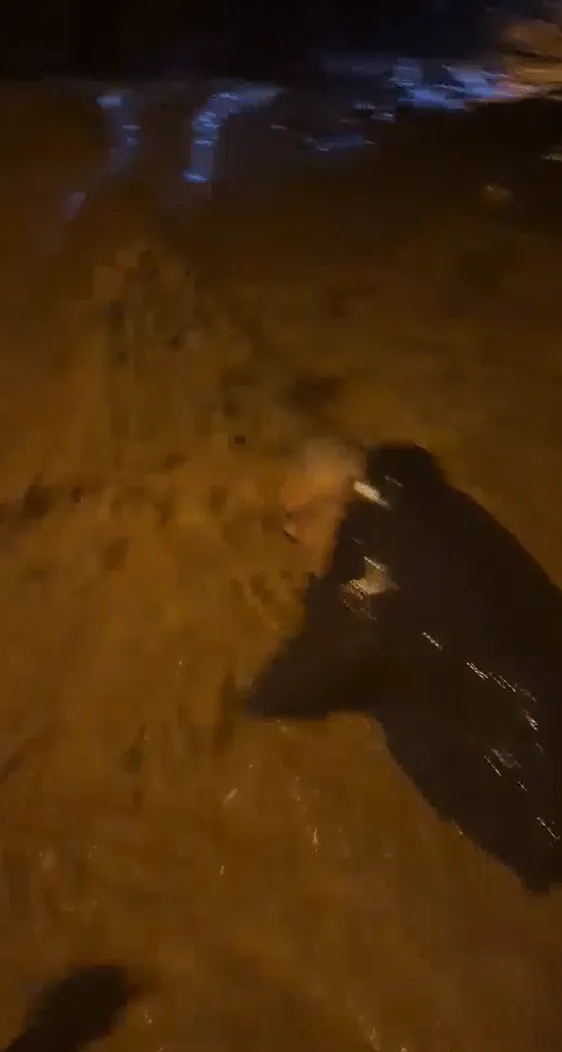 Armutlu’da sel sularına kapılan adamı böyle kurtardı