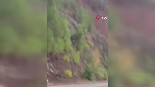 Yalova Armutlu’da şiddetli yağış heyelana neden oldu