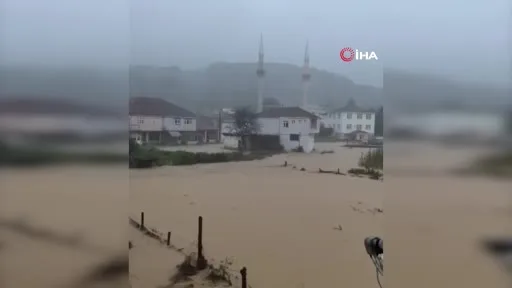 Sakarya’da dereler taştı, evleri su bastı