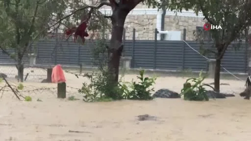Sakarya’da sel bir mahalleyi sulara gömdü: 60 bin kanatlı hayvan telef oldu