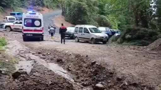 Kestane toplamak için girdiği ormandan cansız bedeni çıktı