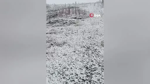 Bursa İnegöl’e mevsimin ilk karı düştü