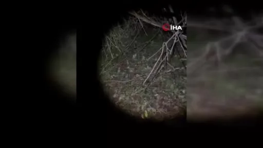 Çatalca’da mantar toplarken kaybolan 2 kişi sabaha karşı bulundu