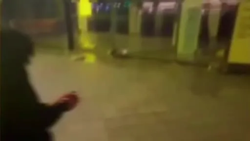 İstanbul’da çeşitli suçlara karışan şüphelilerin yakalanmasına yönelik operasyon: 15 gözaltı