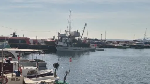 Fırtına dindi, Tekirdağlı balıkçılar yeniden denize açıldı