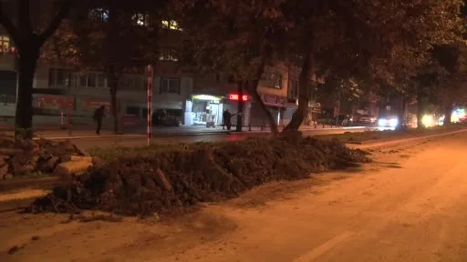 Eyüpsultan’da ağaç kesimi iddiaları sonrası vatandaşlardan İBB’ye tepki