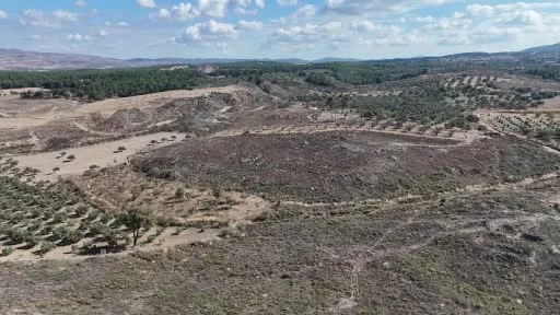 Çanakkale’de yanan ormanlar küllerinden doğuyor