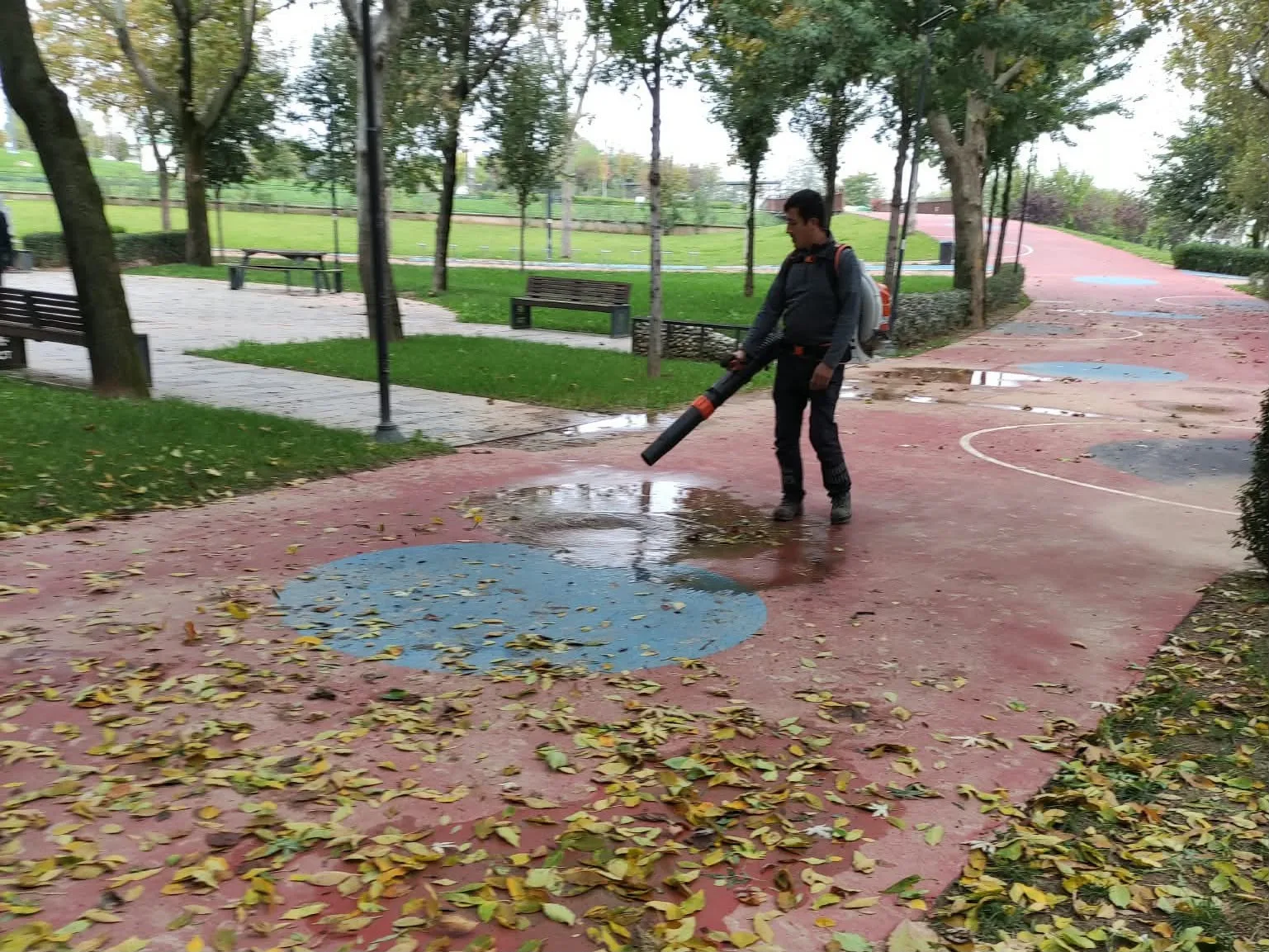 Büyükşehir’den park ve bahçelere düzenli bakım