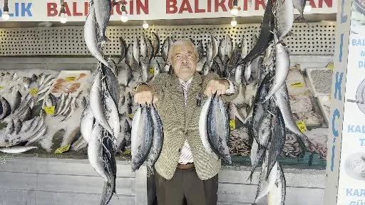 Palamutta bereket, kilosu 100 TLl’ye düştü