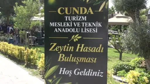 Ayvalık’ta zeytinin bin yıllık hikâyesini genç eller yazdı