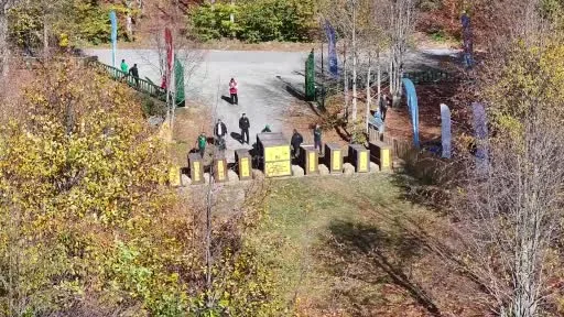 Kocaeli’nin ormanlarına kızıl geyik takviyesi: Adım adım izleniyorlar