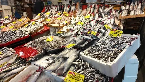 Balıkçıdan çağrı: "Bu sezon balık tüketmek için büyük şans"