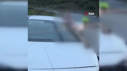 İstanbul’da korkunç kaza: Atın kopan bacağı otomobile saplandı