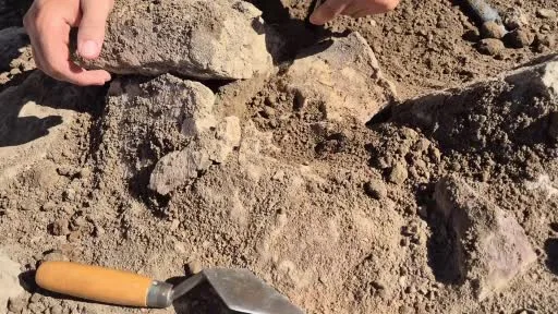 4 bin yıllık pati izleri gün yüzüne çıkarıldı