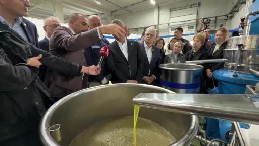 Özgür Özel’den Balıkesir Körfezi’ne çıkarma: 4 ilçede zeytin mesaisi